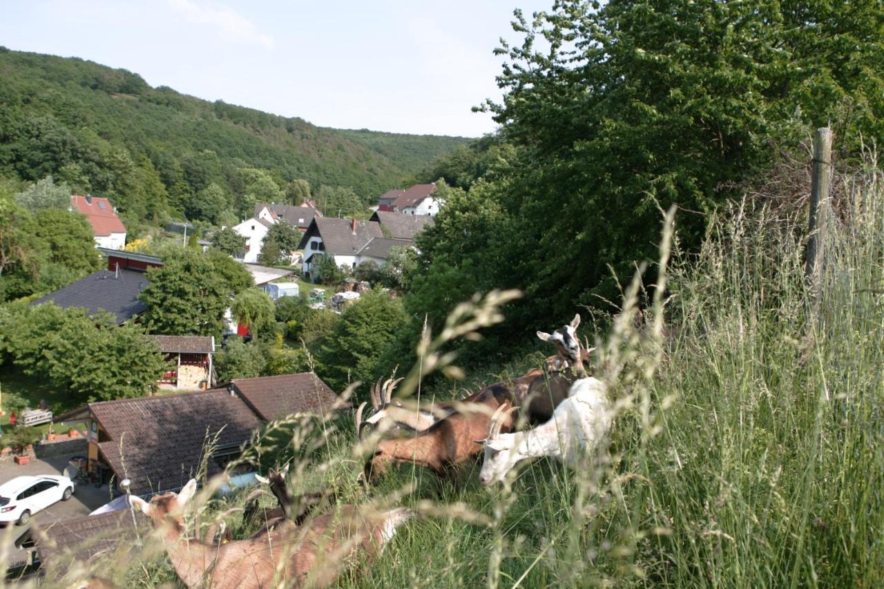 Apartamento Rech Hof Urlaub Auf Dem Bauernhof Schalkenbach Exterior foto